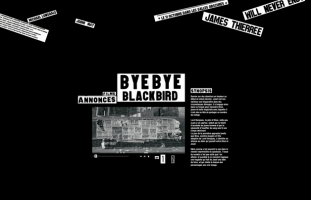 ByeBye Blackbird - Film de Robinson Savary - web developpement independant